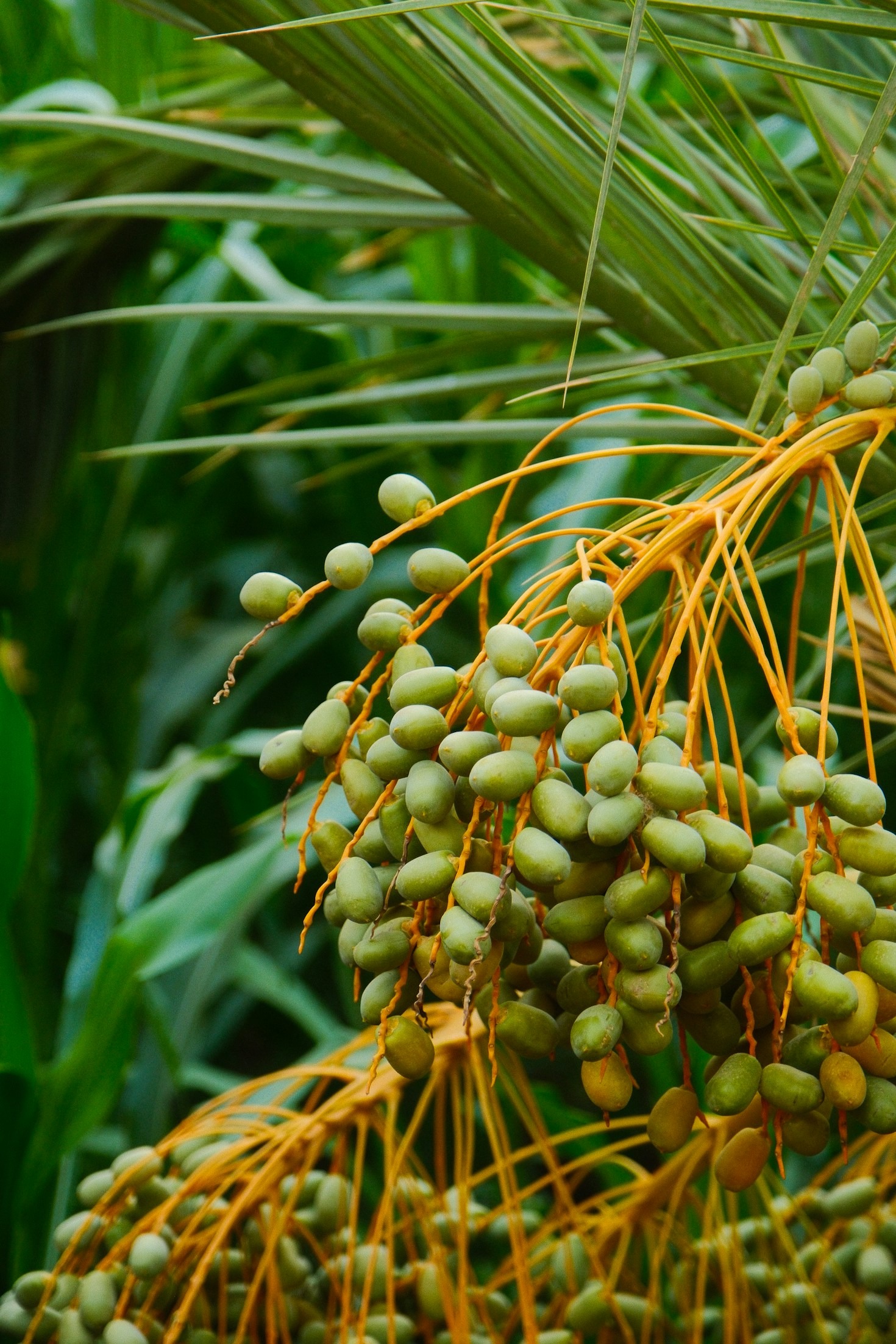 Exploring The World Through Exotic Flavors